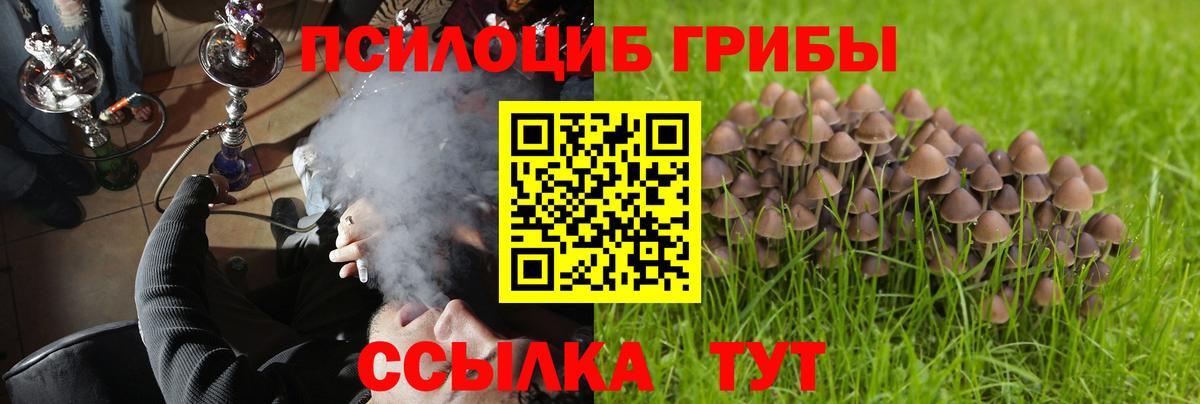 Псилоцибиновые грибы мухоморы Фрязино